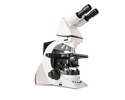 電動正立顕微鏡 DM3000 DFC320