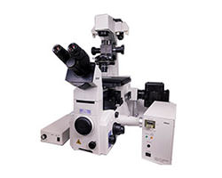蛍光顕微鏡 ECLIPSE TE2000-U