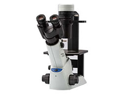培養顕微鏡 CKX53SF